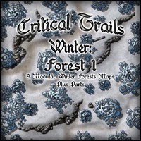 Critical Trails Winter: Forest 1
