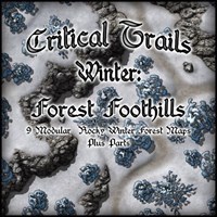 Critical Trails Winter: Forest Foothills